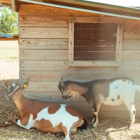 Farm stay Da Pudech