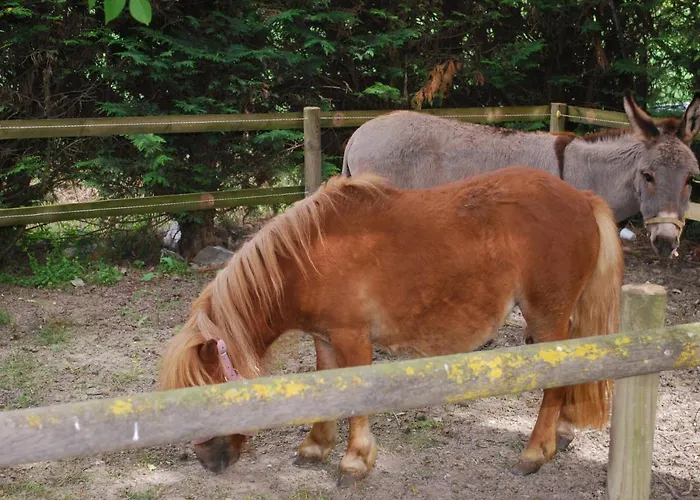 Da Pudech Bauernhof *