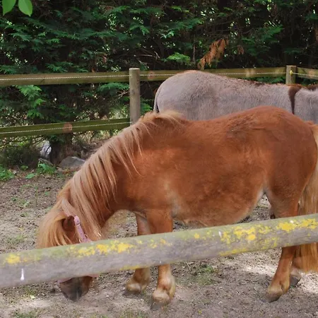 Da Pudech ファームステイ *