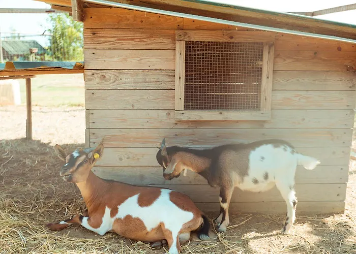 ファームステイ Da Pudech